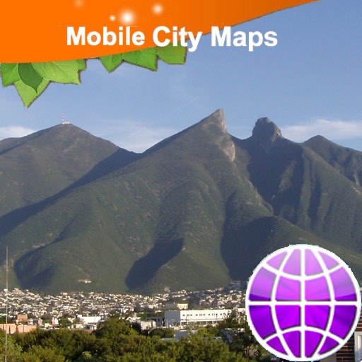 Monterrey Street Map