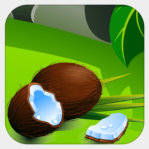 Tortoise N' Coconut iOS App