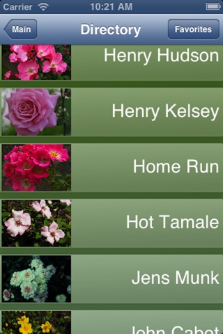 Our Rose Garden screenshot 2