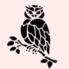 The Owl Shop