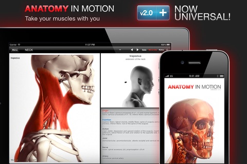 Anatomy In Motion - Complete - Muscle System Flashcards for iPhone and iPad screenshot 2
