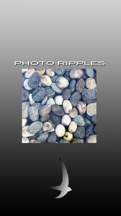 Photo Ripples - realtime live multitouch water waves/rain drops simulation effect with slideshow