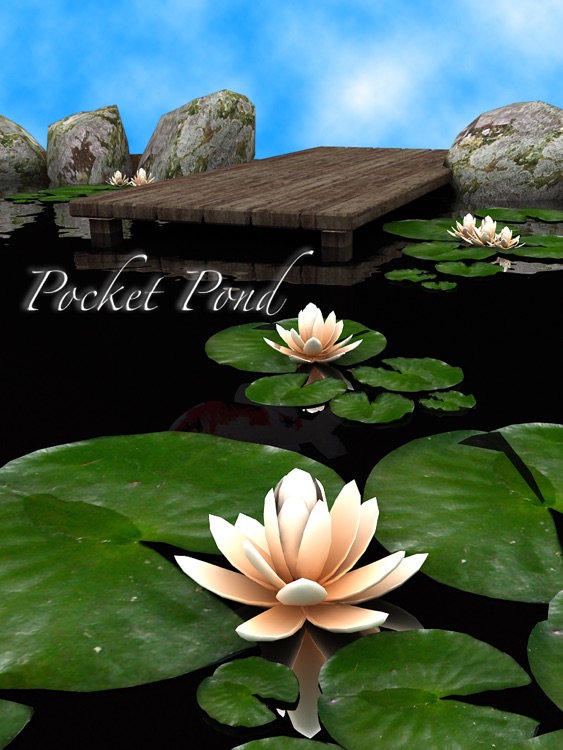 Pocket Pond HD screenshot-3