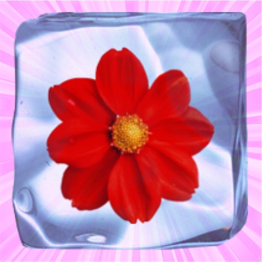 Icy Flower Icon