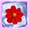Icy Flower is a elimination game where you break groups of 3 or more ice blocks with same flower