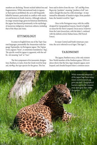Zoo Magazine screenshot 3