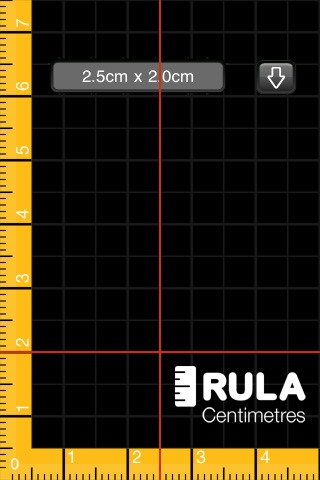Rula screenshot 2