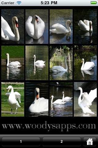 Swan Wallpaper screenshot 2