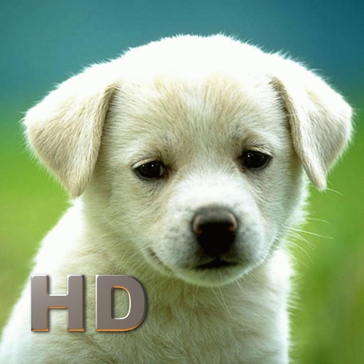 Dogs Encyclopedia HD icon