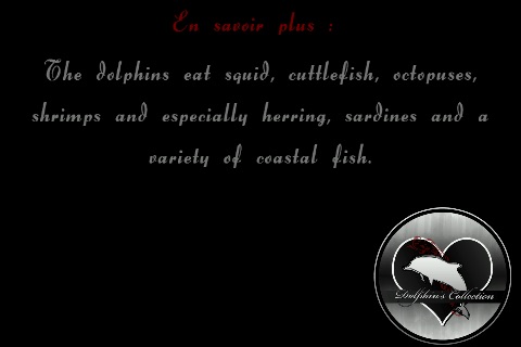 dolphin's collection screenshot 2