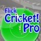 Flick Cricket Pro