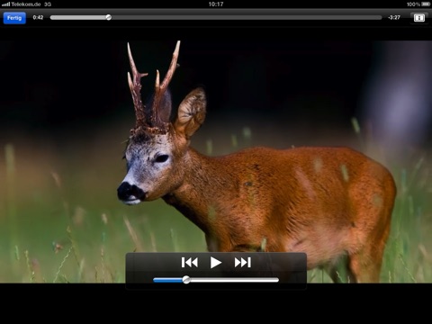 Wildtiere Europa screenshot 3