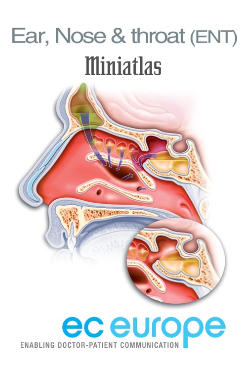 Miniatlas Ear, Nose & Throat