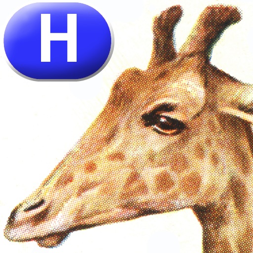 Animals, Animals - LAZ Reader [Level H–first grade] icon