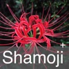 Shamoji123+