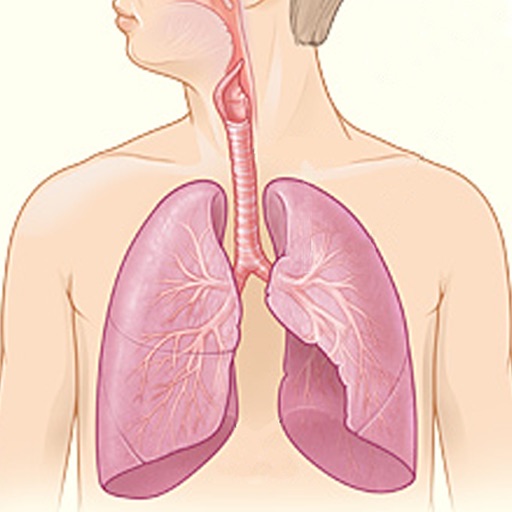 The Respiratory System icon