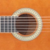 Spanish Guitar