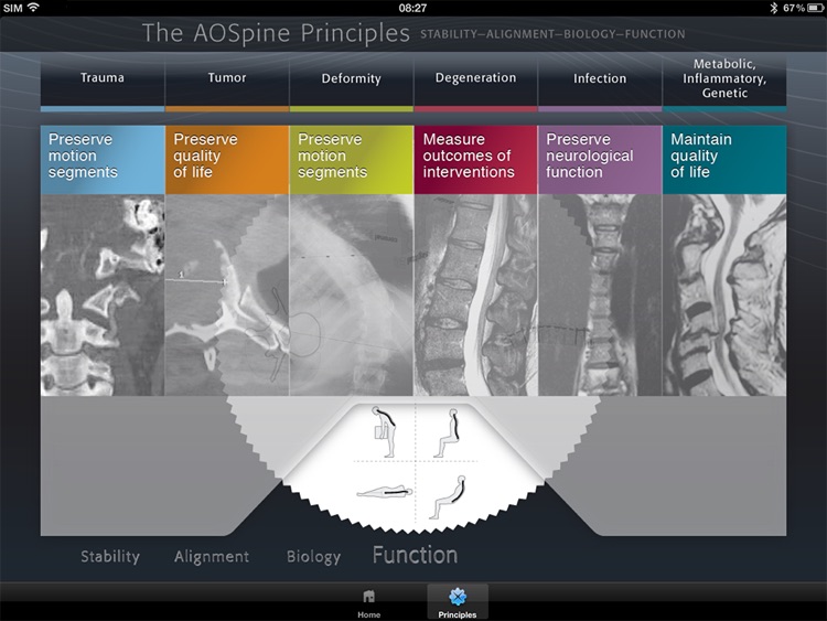 The AOSpine Principles