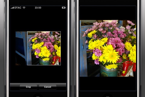 Photo Hype Lite (FREE!)