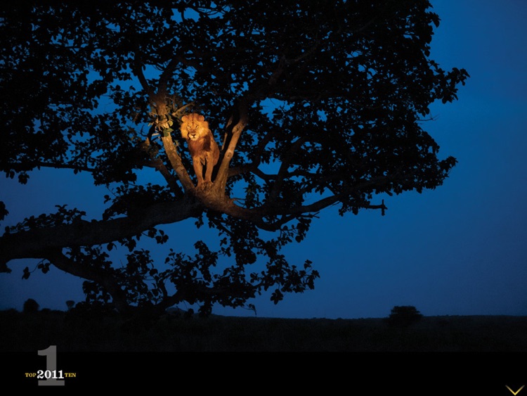50 Greatest Photographs of National Geographic screenshot-4