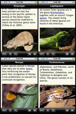 Lizards & Geckos Bible screenshot 2