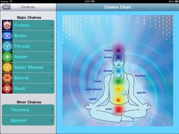 Chakra Balancing & Energy Healing