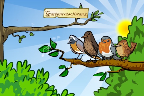 Vogelstimmenquiz screenshot 3