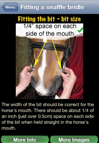 Horsey How 2 Bridle screenshot 2