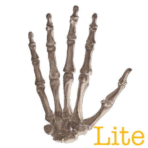 Bones for Kids Lite