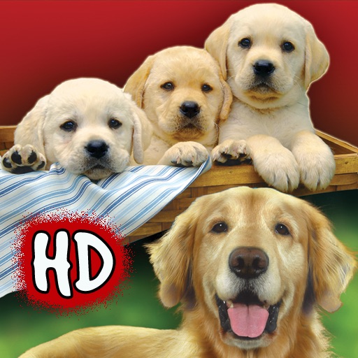 Dog Training HD icon