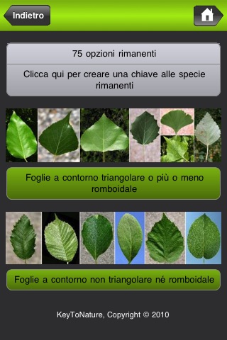 Guida interattiva alle piante legnose del Parco Nazionale della Majella screenshot 4