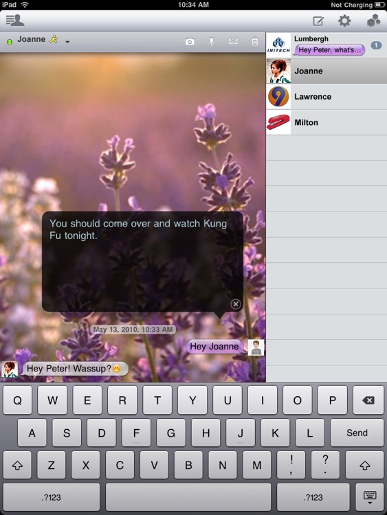 BeejiveIM for iPad