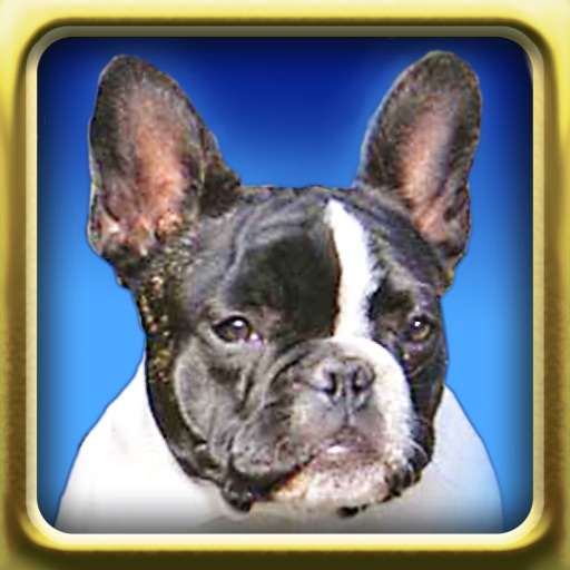 Dogs Match Memory Game: Pair Up Dog Photos Icon