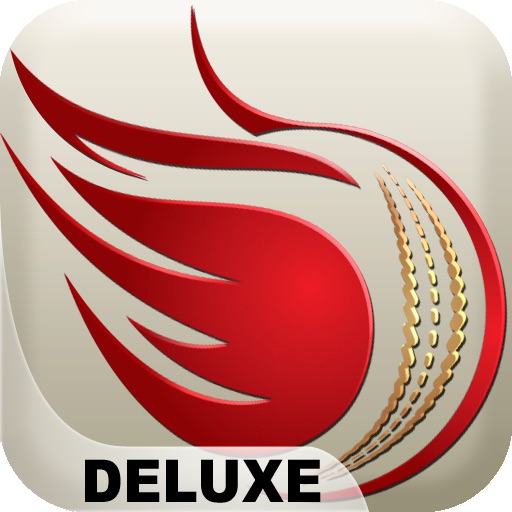 WorldCup Cricket Fever - Deluxe