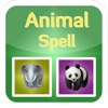 Puzzle + Animal spell puzzle