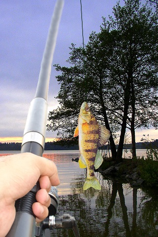 iFish