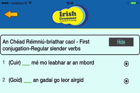 Irish Grammar screenshot 2