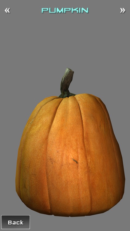 3D Portfolio screenshot-3