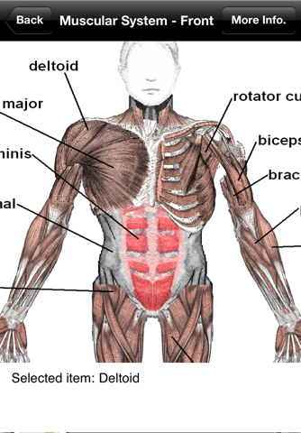 Human Anatomy! screenshot 4