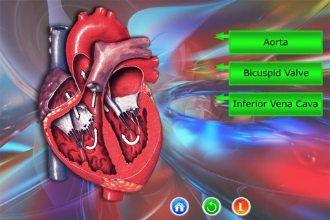 BioIQ: Biology Picture Game screenshot 2