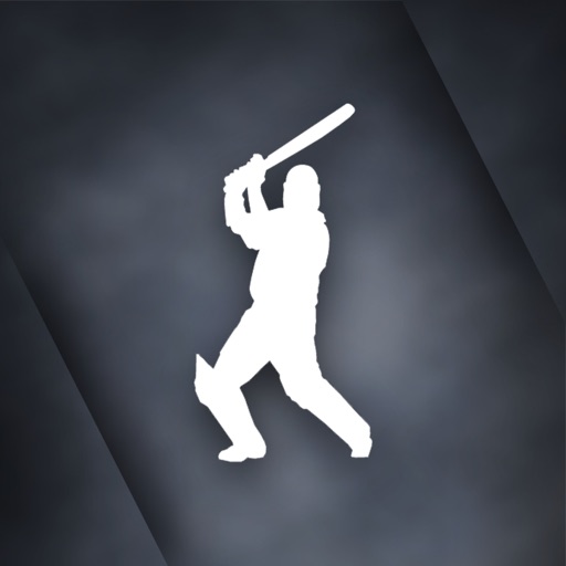 T20 WorldCup Cricket Game Icon