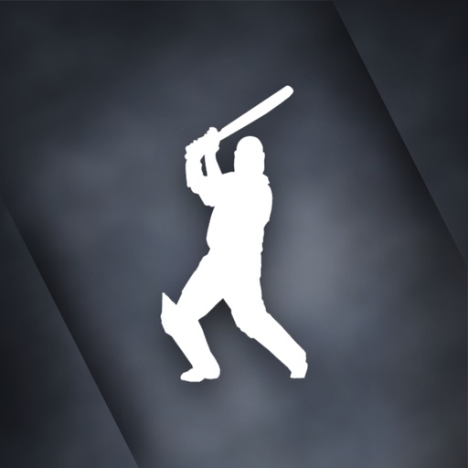 T20 WorldCup Cricket Game icon