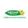 中国玉米网