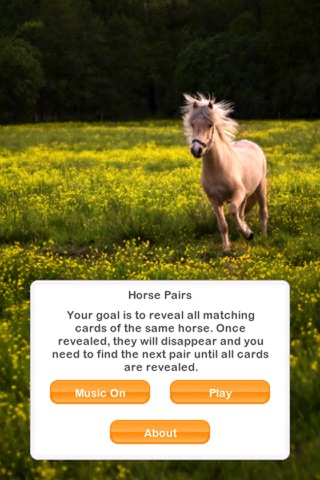 Horse Pairs screenshot 2