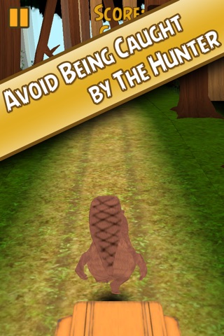 Beaver Run 3D Endless Runner screenshot 2