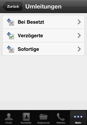 Netphone Mobile 2011 screenshot 4