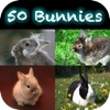 50 Bunnies - Cute Sweeties