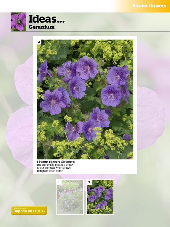 Gardeners’ World Magazine - 100 Best Plants