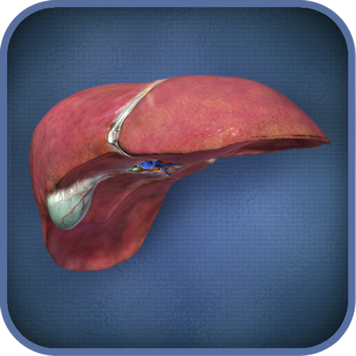 Liver Viewer