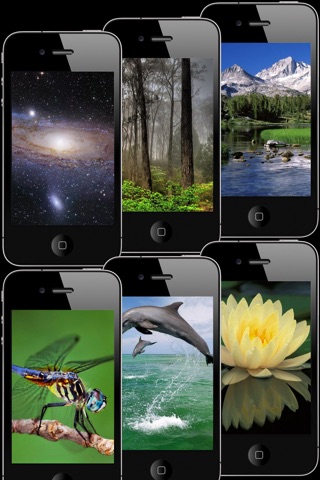 HD Wallpapers & Backgrounds for iPhone/iPod touch screenshot 3